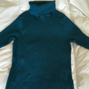 Lane Bryant Turtleneck